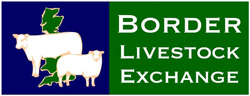 Border Livestock Exchange