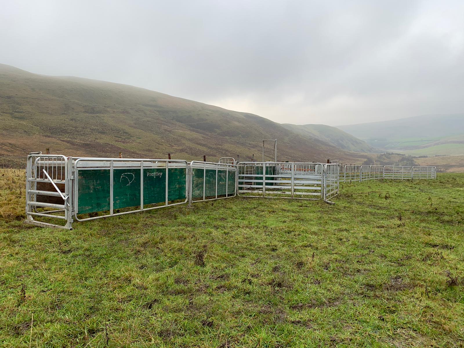 Lot 23 Pratley Mobile Sheep Pens Area Morpeth Border Livestock