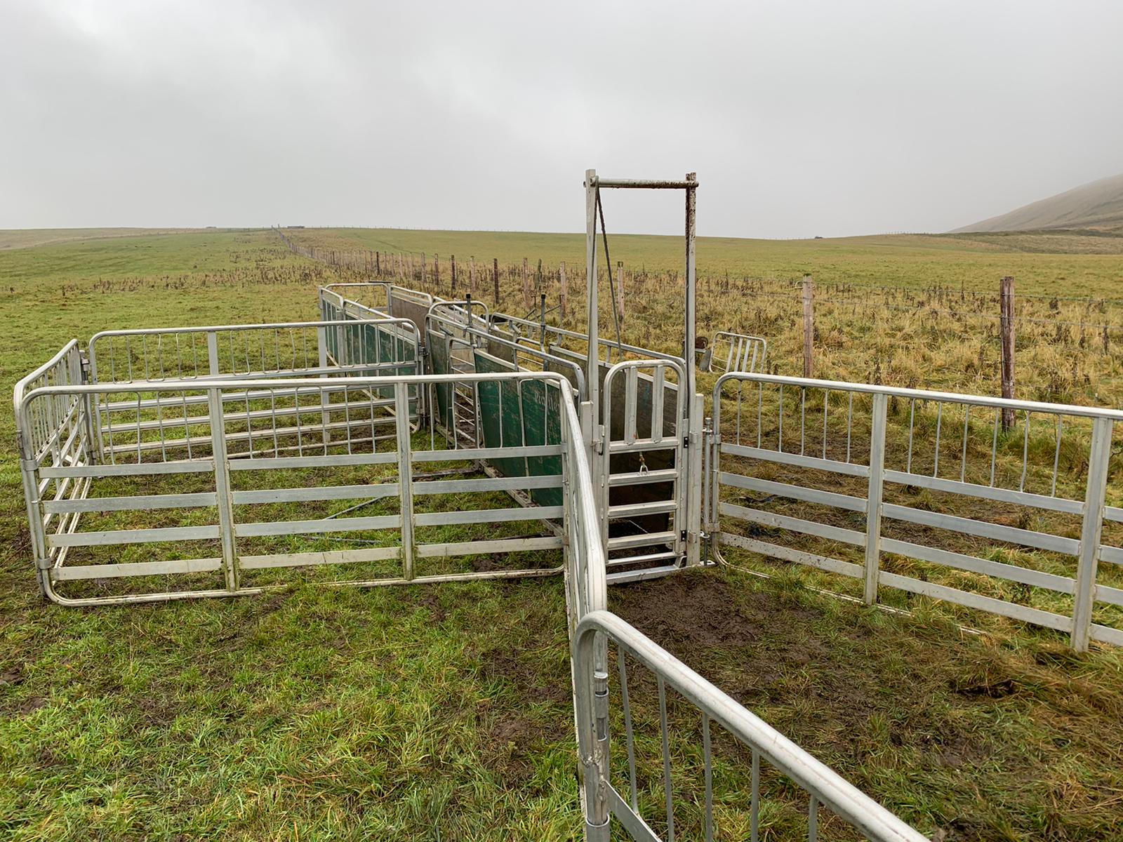 Lot 23 Pratley Mobile Sheep Pens Area Morpeth Border Livestock