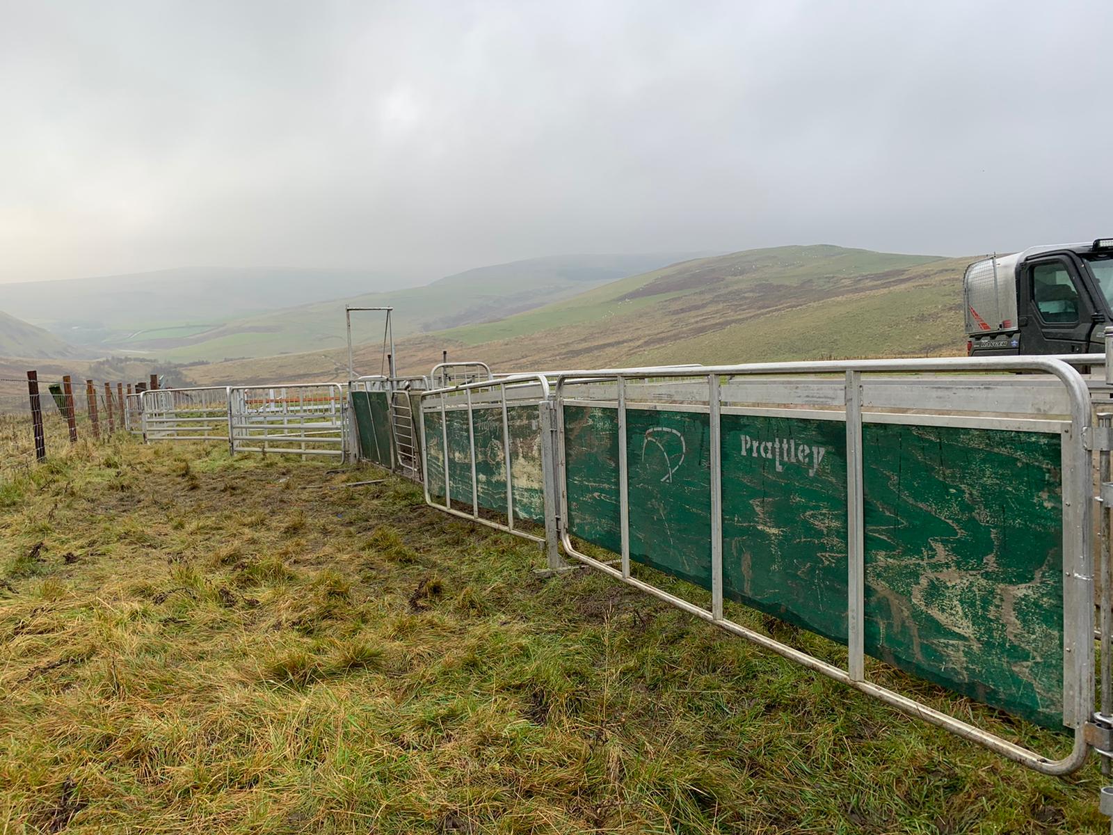 Lot 23 Pratley Mobile Sheep Pens Area Morpeth Border Livestock