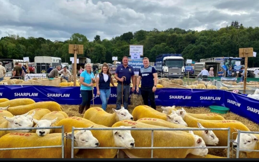 Kelso Ram Sales 2021