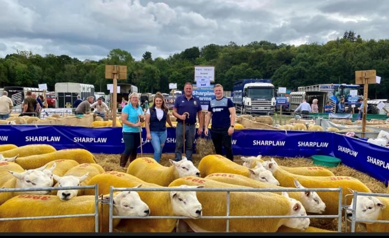 Ram Sales Border Livestock Exchange