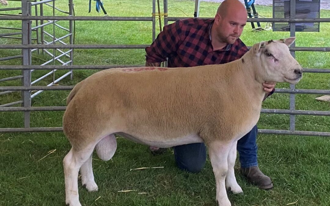 Kelso Ram Sales 2022