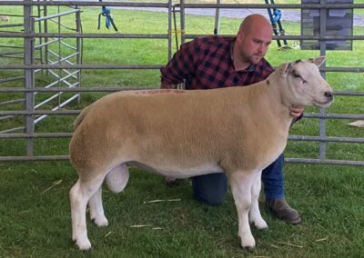 Kelso Ram Sales 2022