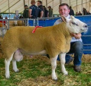 Kelso Ram Sales 2019