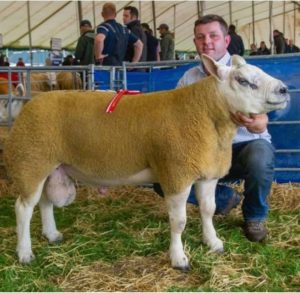 Kelso Ram Sales 2019