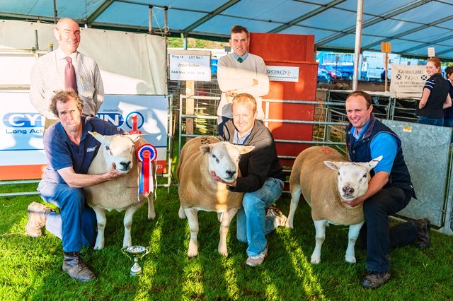 Kelso Ram Sales 2015