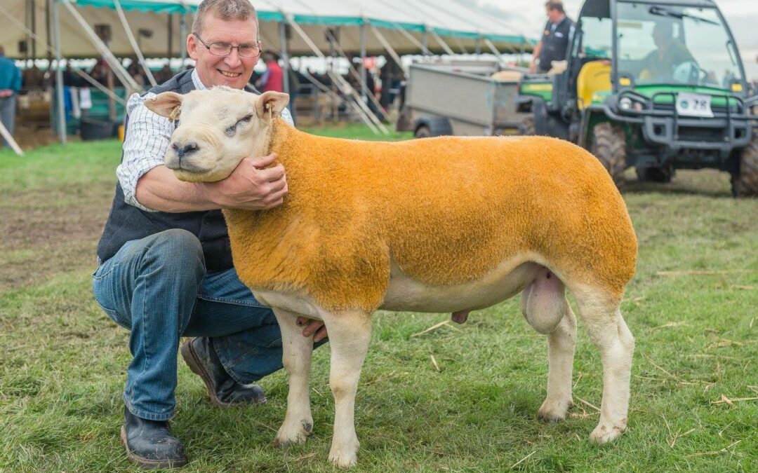 Kelso Ram Sales 2016