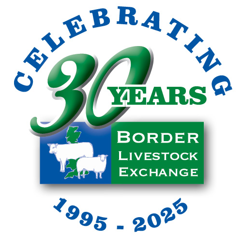 Border Livestock Exchange