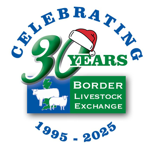 Border Livestock Exchange