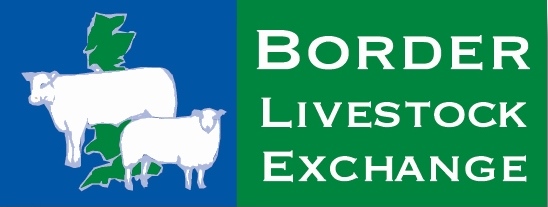 Border Livestock Exchange