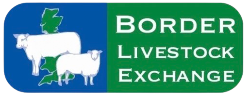 Border Livestock Exchange