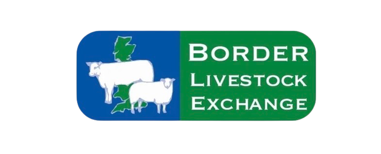 Border Livestock Exchange