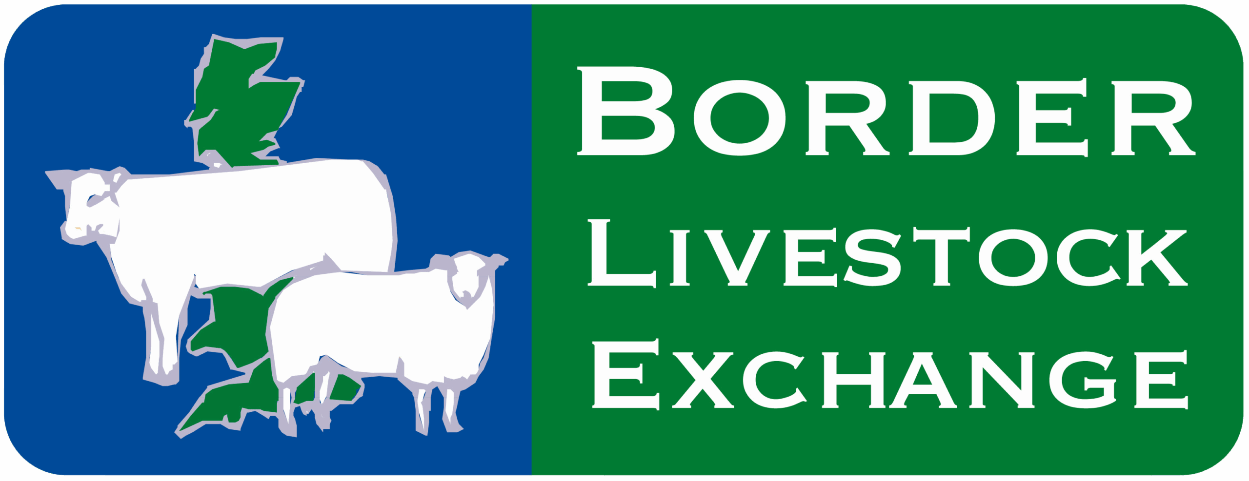 Border Livestock Exchange