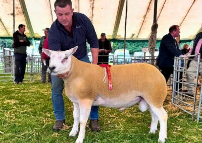 2026 Kelso Ram Sales Report